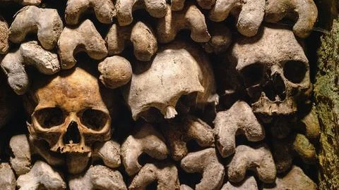 Human skulls and bones Catacombs of Paris Paris France Europe Stock Photos
