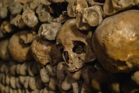 Human skulls and bones Catacombs of Paris Paris France Europe Foto stock