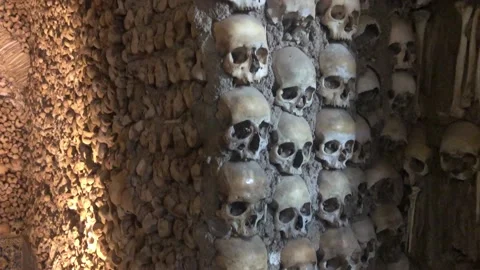 Human skulls and bones Stock Footage 199782257
