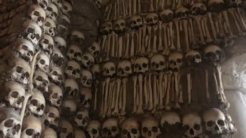 Human skulls and bones Stock Footage 199782261