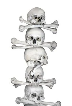 Human skulls and bones Stock Illustration