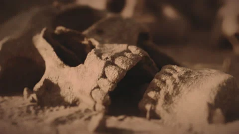 Human skulls buried in the dirt, camera goes into the mouth. Sunset lighting 動画素材 219928766