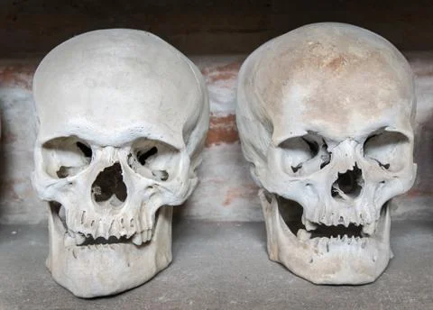 Human skulls inside a catacomb Stock Photos