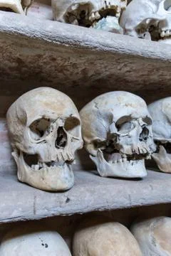 Human skulls inside a catacomb. Stock Photos