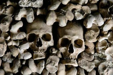 Human skulls Stock Photos