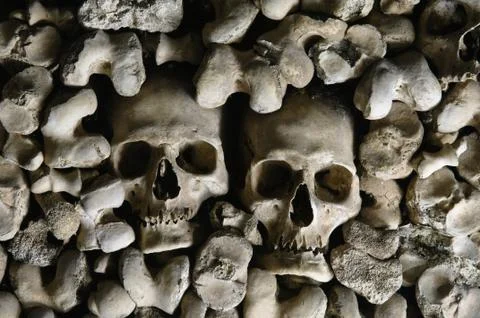 Human skulls Stock Photos