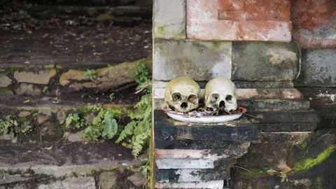 Human skulls placed on rock temple wall in forest, Trunyan, Bali, Indonesia Stock-Footage 140271886