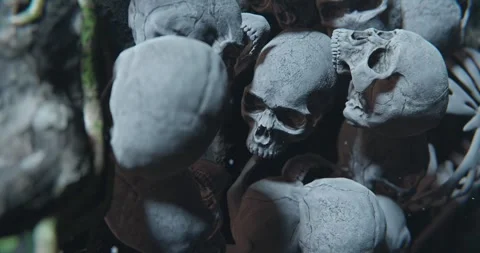 Human Skulls scattering on the ground as a War concept Video stock 282054153