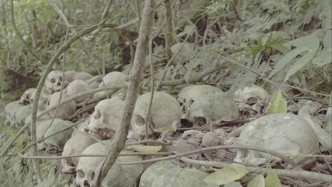 Human skulls stacked up in jungle Stock-Footage 75625548