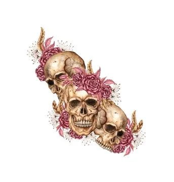 Human skulls three roses dried flowers watercolor Stock Illustration