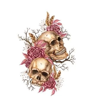 Human skulls two roses dried flowers and branches watercolor Stock Illustration