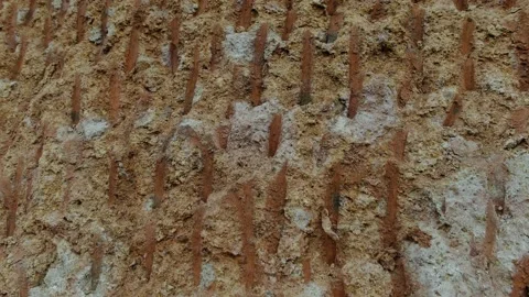 Human soil interactions Stock Footage 163983309