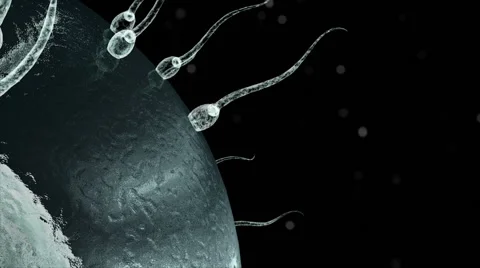 Human sperm approaching human egg. 3d render Stock Footage 56261726