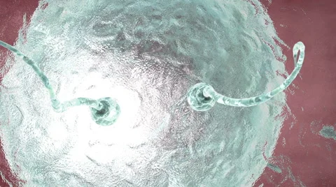 Human sperm approaching human egg. 3d render Stock Footage 56448437