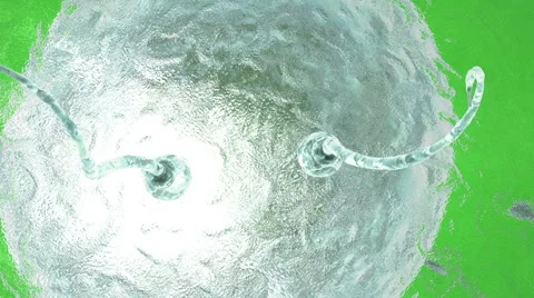 Human sperm approaching human egg. Green screen footage Stock Footage 56448724