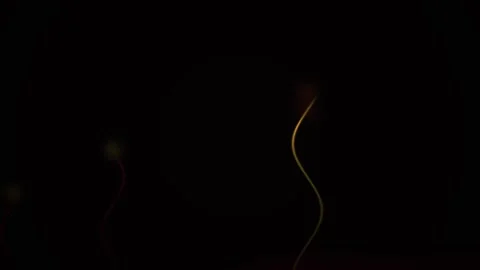 Human Sperm Cell Under Microscope. Stock Footage 337515291