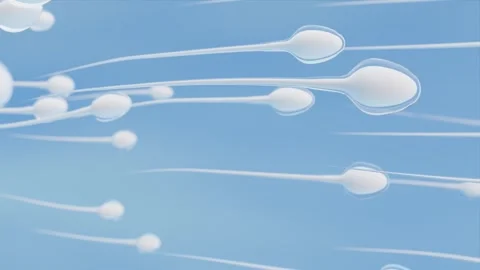 Human sperm cells, 3d rendering. Spermatozoa movement on a blue background with Stock-Footage 253168581