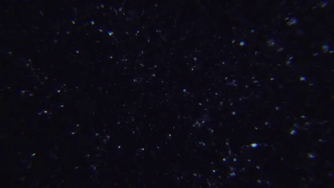 Human sperms under Dark field Microscope Video stock 80267367