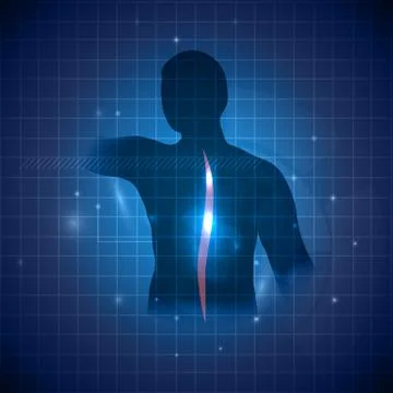 Human spine with accent on a vertebral column Stock Illustration
