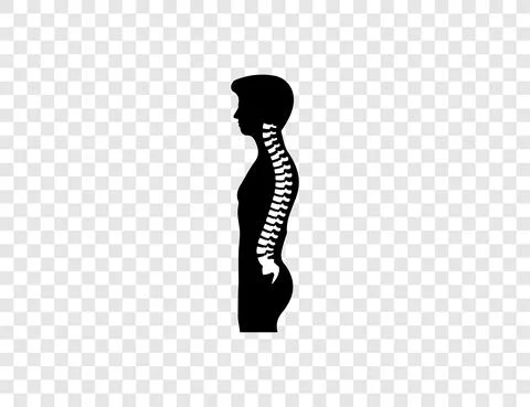 Human spine, anatomy, backbone icon. Vector illustration. Stock Illustration