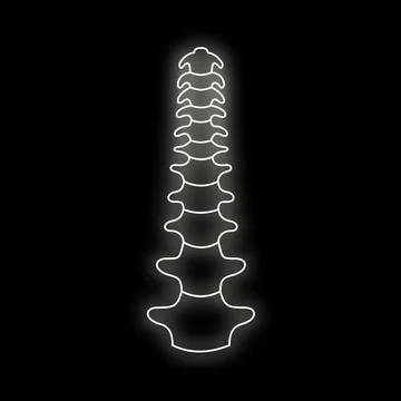 Human spine backbone concept neon glowing line art Stock Illustration