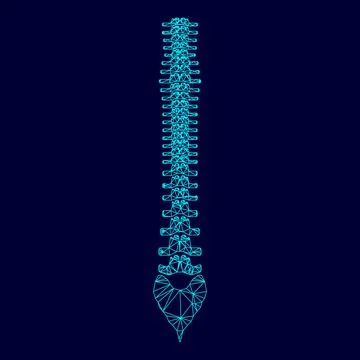 Human spine low poly triangulation triangulated polygonal electric cyan blue  Stock Illustration