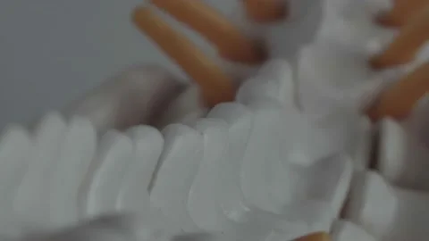 Human spine model on a white background, neuralgia. Back pain, intervertebral Stock Footage 131509237