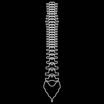 Human spine  the white path icon . Stock Illustration