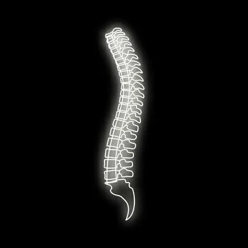 Human spine x ray style glowing outline Stock Illustration