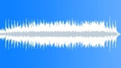 Human Splendor Stock Music