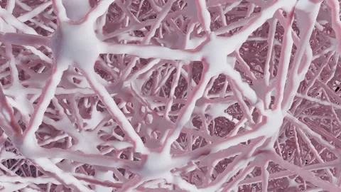 Human spongy bone tissue, healthy osteoporosis structure, 3d render Stock Footage 310722908
