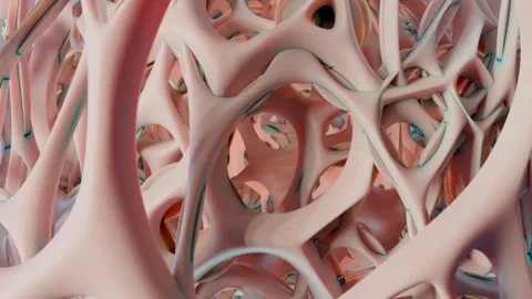 Human spongy bone tissue, healthy osteoporosis structure Stock Footage 314207575