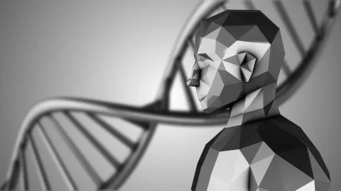 Human stem cells and mapping of human DNA genome for cloning  Stock Illustration