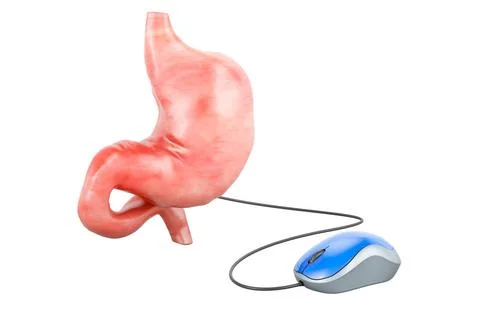 Human stomach with computer mouse. 3D rendering Human stomach with compute... Stock Photos