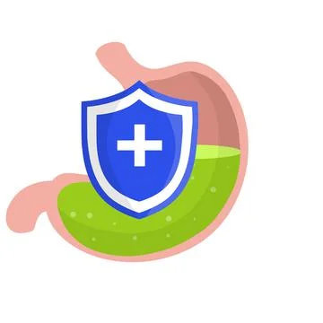Human stomach. Digestive problems. Cartoon flat illustration. Stock Illustration