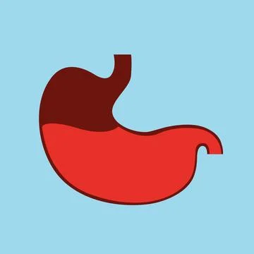 Human stomach icon. Digestive system anatomy. Human internal organs symbol. Stock Illustration