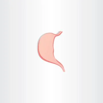 Human stomach icon vector symbol Stock Illustration