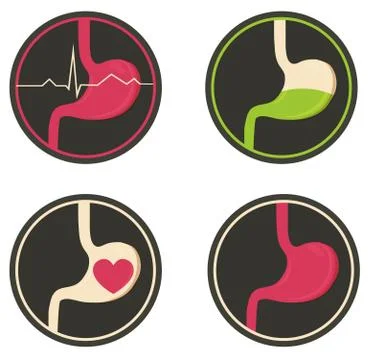Human stomach Illustrazione stock