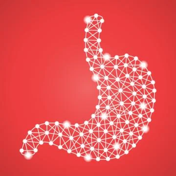Human Stomach Isolated On A Red Background. Vector Illustration. Stock Illustration