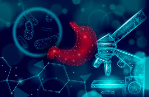 Human stomach microscope 3D low poly render probiotics. Healthy normal digestion Illustrazione stock