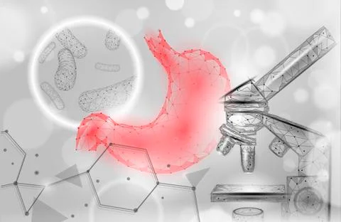Human stomach microscope 3D low poly render probiotics. Healthy normal digestion Illustrazione stock