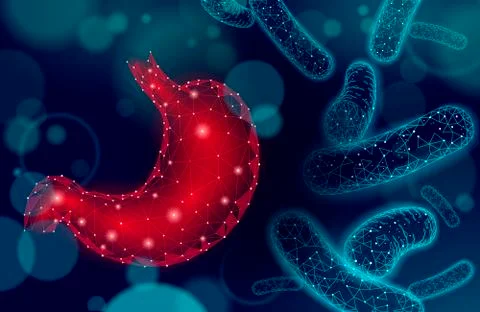 Human stomach microscope 3D low poly render probiotics. Healthy normal digestion Illustrazione stock