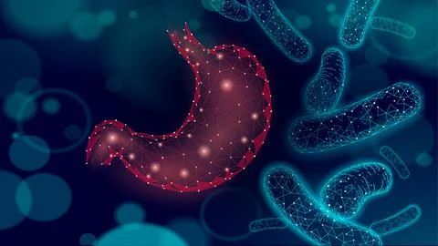 Human stomach microscopic 3D low poly render probiotics. Healthy normal Stock Illustration