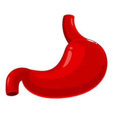 Human stomach representing digestive system and healthcare Stock Illustration