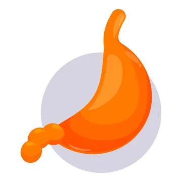 Human stomach showing digestion process with food passing through Stock Illustration