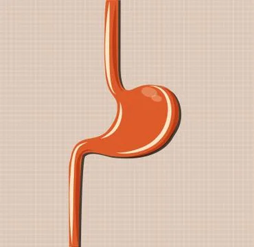 Human stomach simple design Stock Illustration