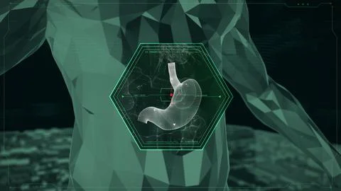 Human Stomach Technology X-Ray Scanner Stock Illustration