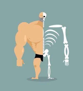 Human structure. Skeleton men. construction of athlete. Bones and skull. Athl 스톡 일러스트