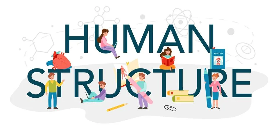 Human structure typographic header. Anatomy human organ studying. Stock Illustration
