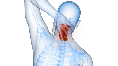Human Suffering with Severe Back Pain Anatomy Animation Concept Stock Footage 331861709